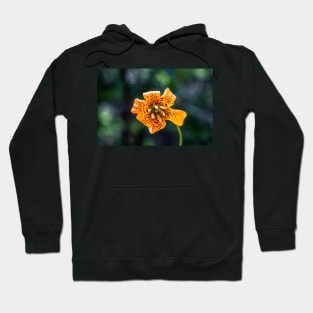 Tiger lily flower Hoodie